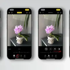 Cztery ekrany iPhone'a pokazujące edycję zdjęcia kwiatka w trybie portretowym z rozmyciem tła.