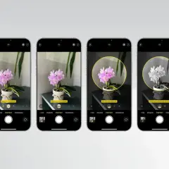 Sześć ekranów iPhone'a pokazuje, jak zrobić ładne zdjęcia, prezentując różne efekty oświetleniowe dla storczyka.