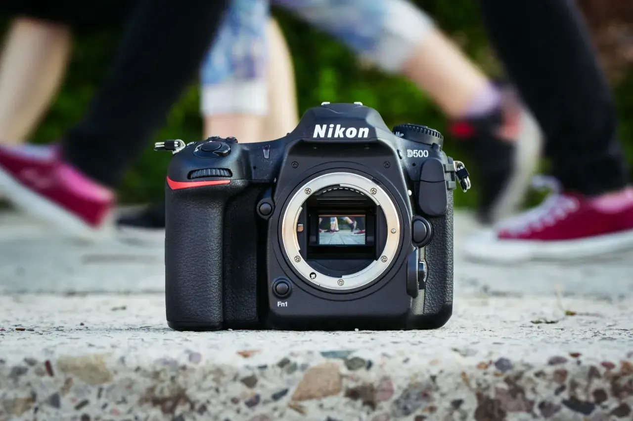 Nikon D500 na kamieniu, z rozmazanymi nogami w tle. Dowiedz się, jak sprawdzić przebieg aparatu Nikon.