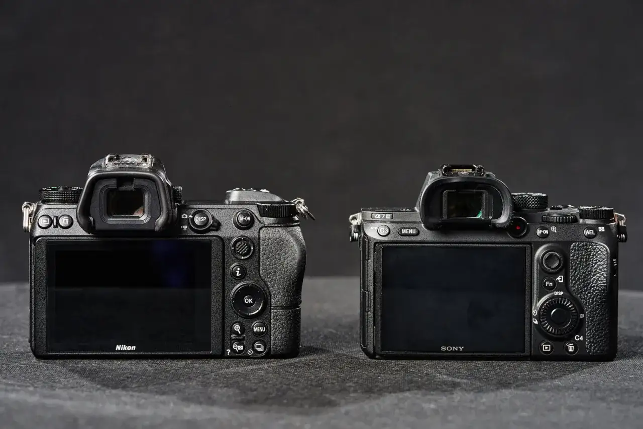 Dwie lustrzanki: Nikon i Sony, stoją obok siebie. Kt&oacute;rą wybierzesz?