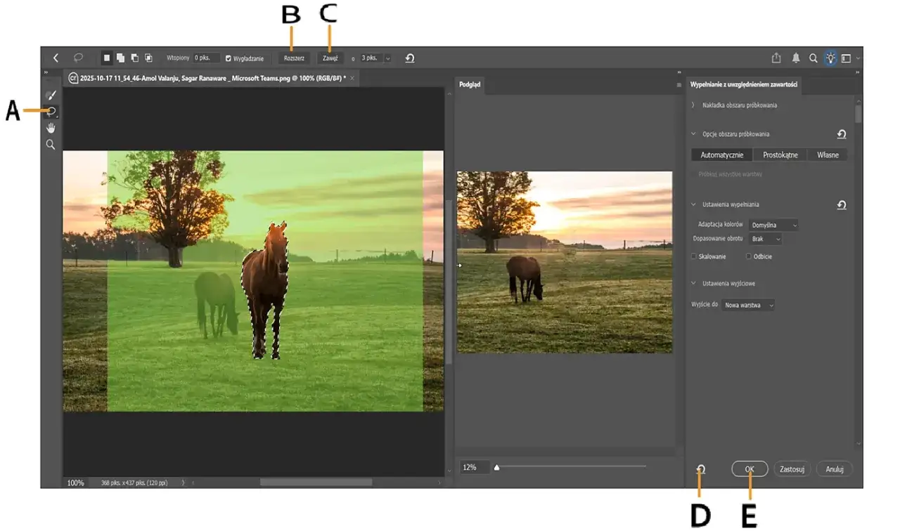 Jak usunąć obiekt w Photoshopie: zaznaczono konia do usunięcia, obok podgląd efektu.